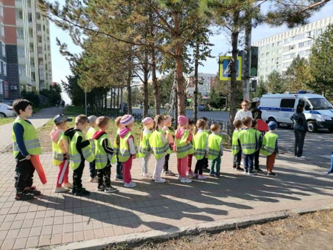 Целевая прогулка «Мы пешеходы» Целевая прогулка «Мы пешеходы».